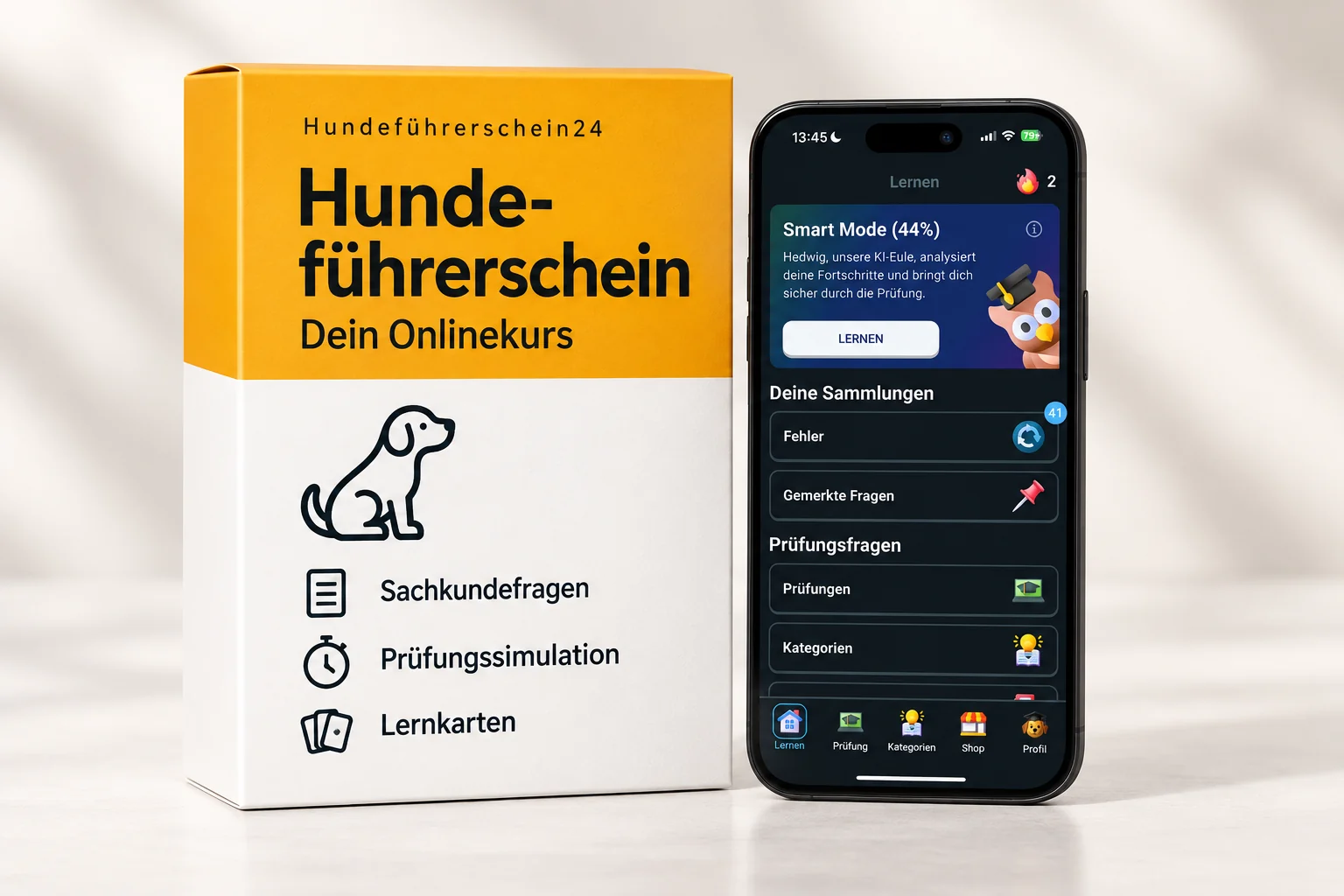 Hundeführerschein-Onlinekurs mit Lerninhalten und App